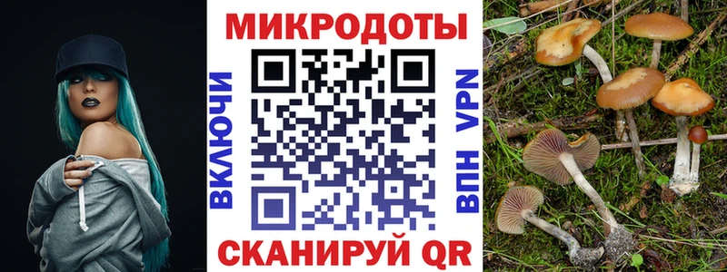 Псилоцибиновые грибы мицелий Видное
