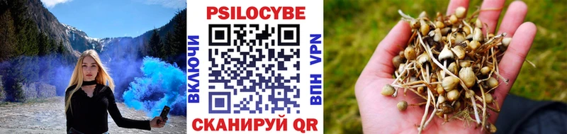 Галлюциногенные грибы ЛСД  MEGA как войти  shop официальный сайт  Видное 